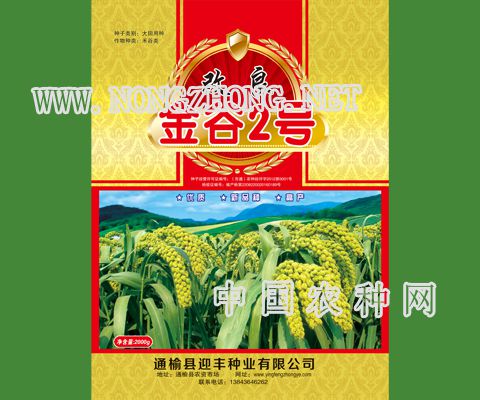 金谷2号